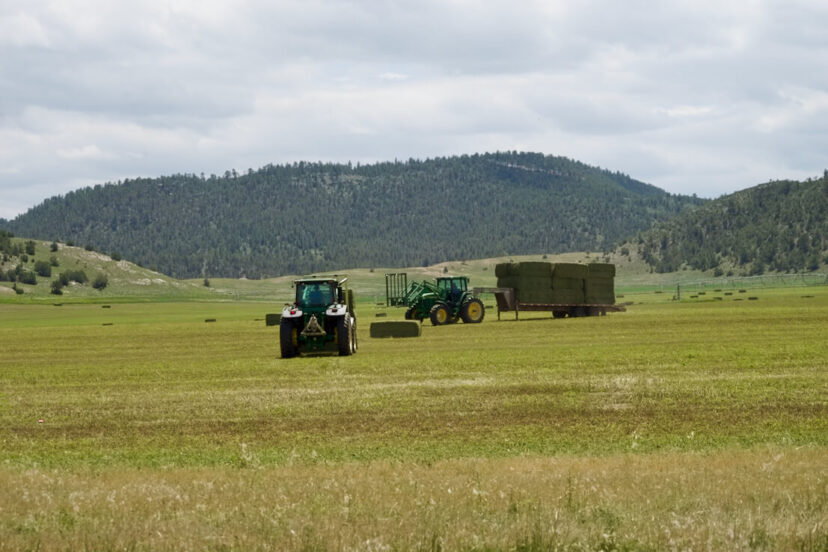 Machine Slim Ranch Slim Ranch - Harrigan Land Company