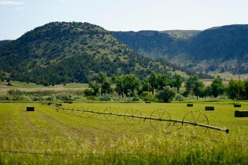 Machine Slim Ranch Slim Ranch - Harrigan Land Company