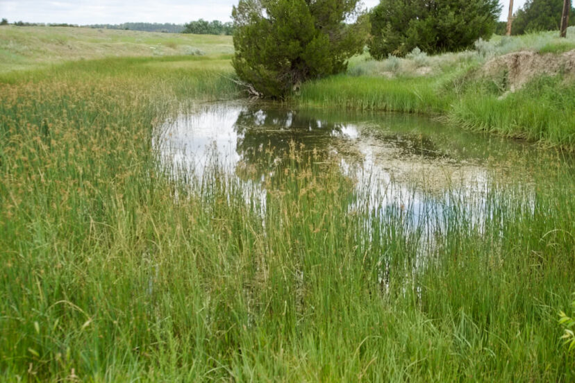 Machine Slim Ranch Slim Ranch - Harrigan Land Company