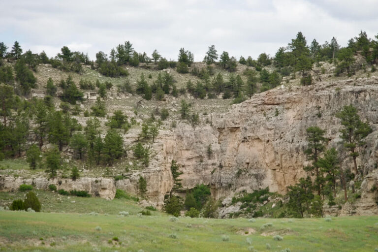 Machine Slim Ranch Slim Ranch - Harrigan Land Company