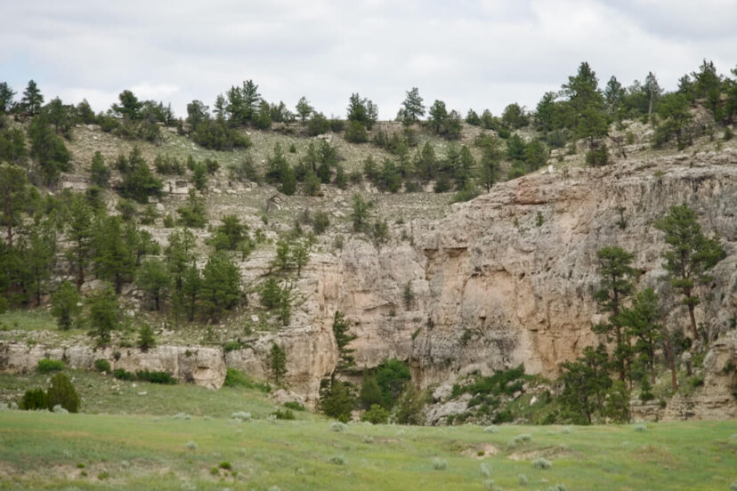 Machine Slim Ranch Slim Ranch - Harrigan Land Company