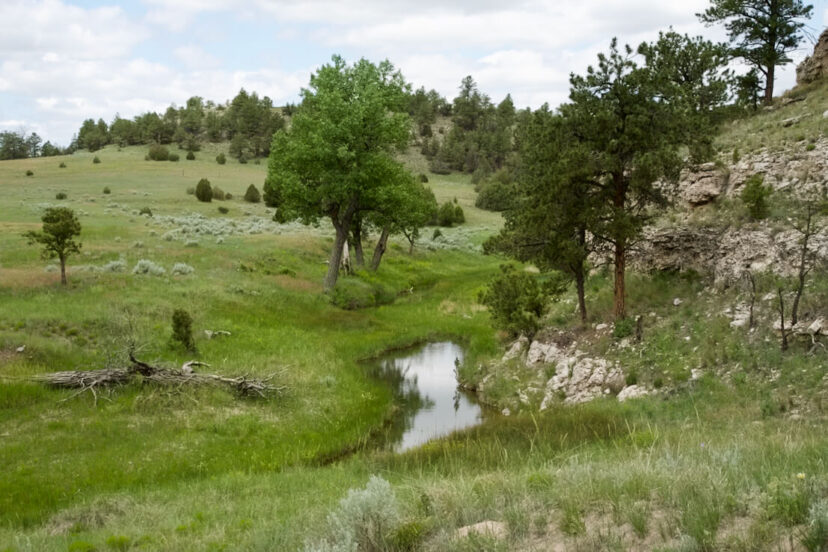 Machine Slim Ranch Slim Ranch - Harrigan Land Company