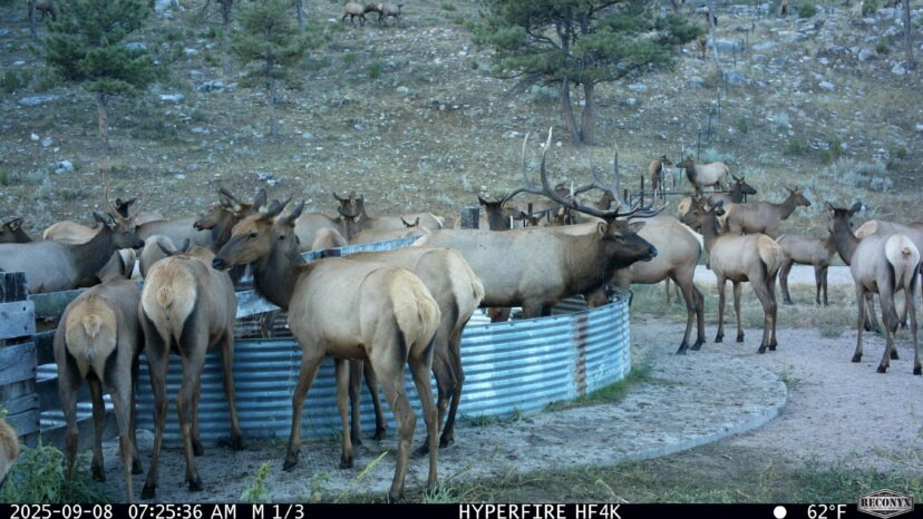Documenting Wildlife on Hunting Ranches for Sale: Why Visual Evidence Matters