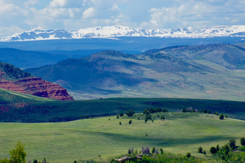 Bull Mountain Cattle Company