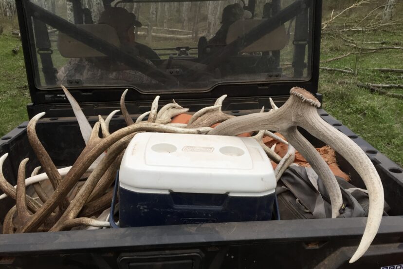 Shed Antler Hunting in the West: Regulations & the Advantage of Private Land Ownership