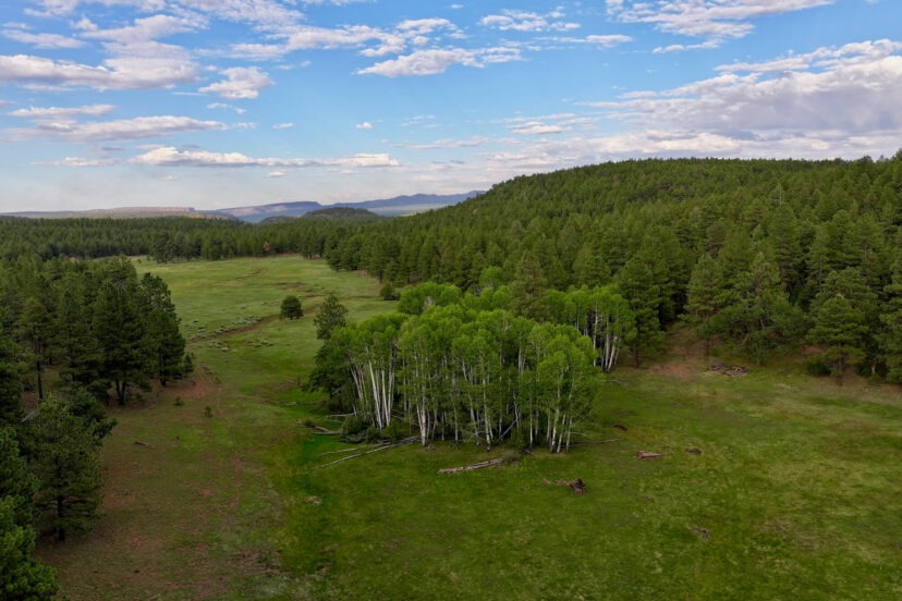 Lookout Mountain Ranch