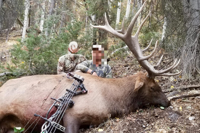 Harrigan Land Company’s Top Picks for Archery Elk Hunting Ranches on the Market