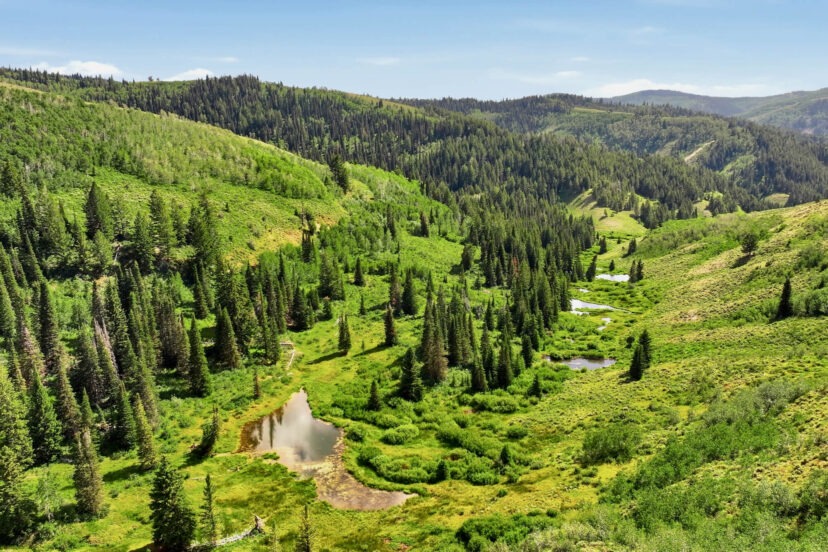 Long Hollow Ranch